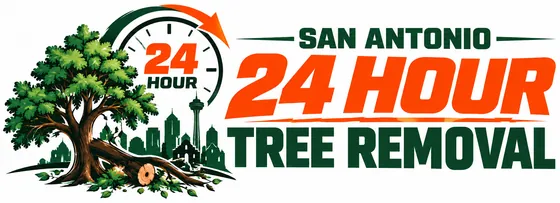 San Antonio 24 Hour Tree Removal